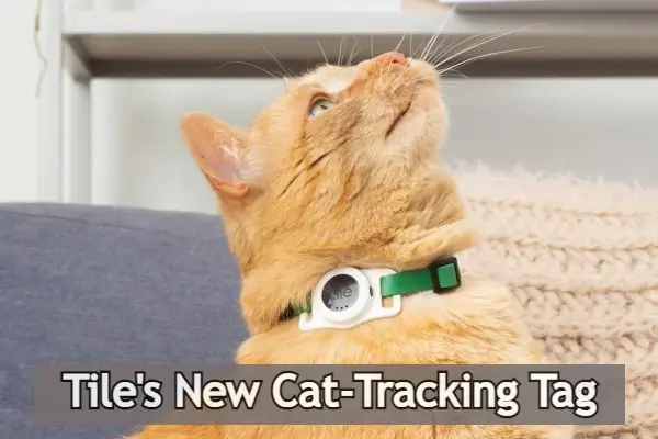 Tile New Cat-Tracking Tag